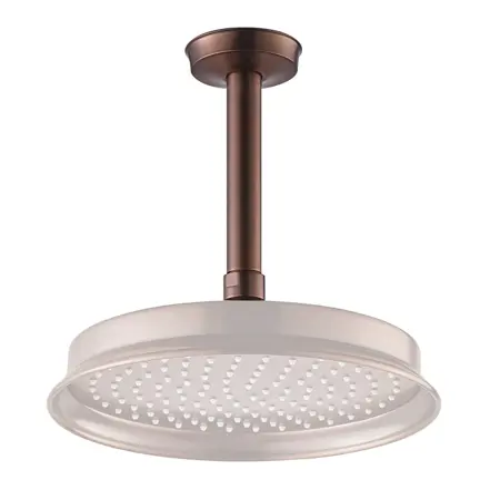 Wall & Ceiling Shower Arms