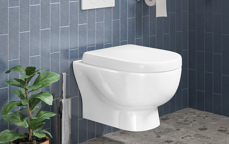 Wall Mounted Toilet